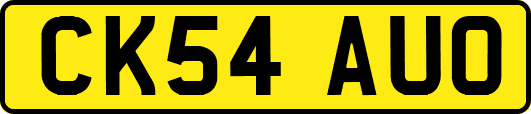 CK54AUO