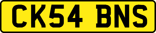 CK54BNS