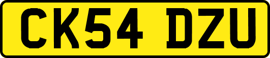 CK54DZU