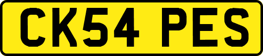 CK54PES
