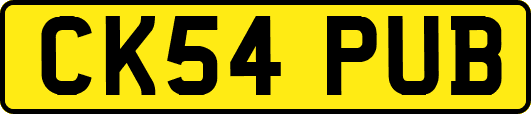 CK54PUB