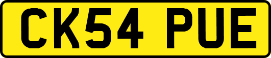 CK54PUE