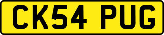 CK54PUG
