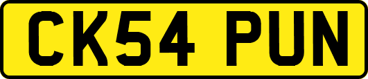 CK54PUN