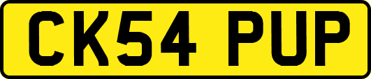 CK54PUP