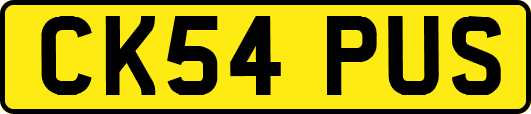 CK54PUS