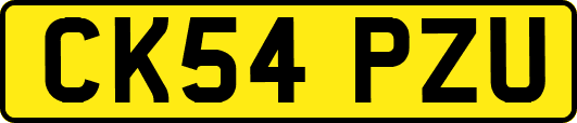 CK54PZU
