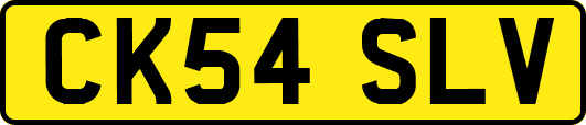 CK54SLV