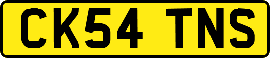 CK54TNS