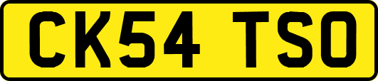 CK54TSO