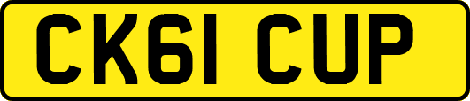 CK61CUP