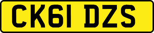 CK61DZS