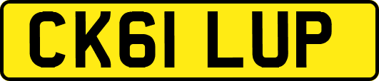 CK61LUP