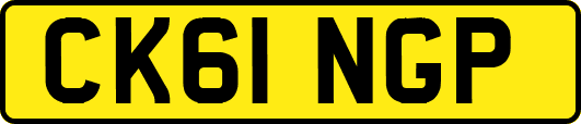 CK61NGP