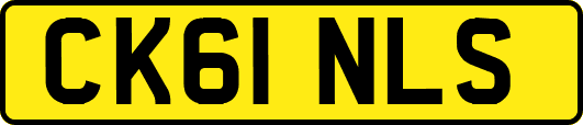 CK61NLS