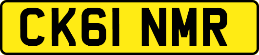 CK61NMR