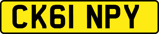 CK61NPY