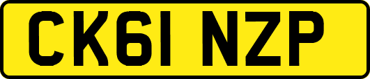 CK61NZP