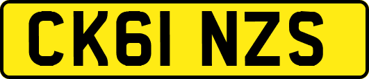 CK61NZS