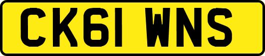 CK61WNS