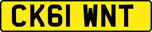 CK61WNT