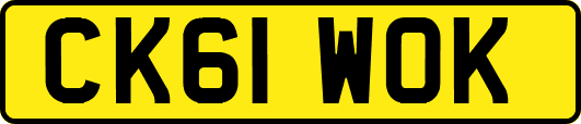 CK61WOK