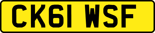 CK61WSF