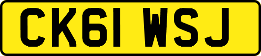 CK61WSJ