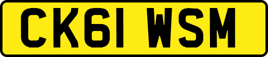 CK61WSM