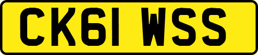 CK61WSS