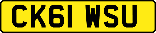 CK61WSU