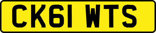 CK61WTS