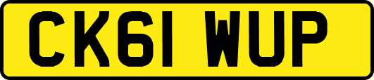 CK61WUP