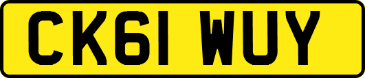 CK61WUY