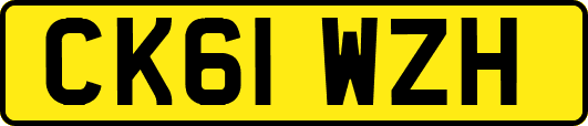 CK61WZH