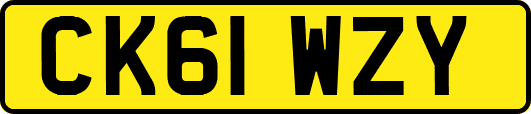 CK61WZY