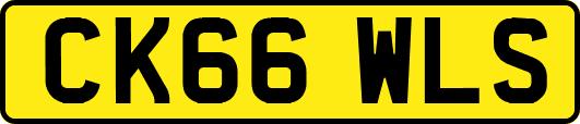 CK66WLS