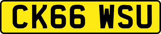 CK66WSU