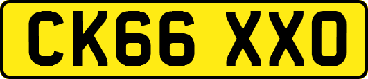 CK66XXO