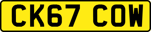 CK67COW
