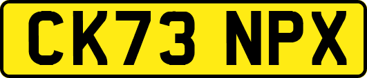 CK73NPX