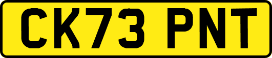 CK73PNT