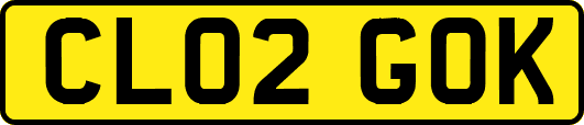CL02GOK