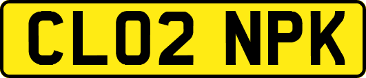 CL02NPK