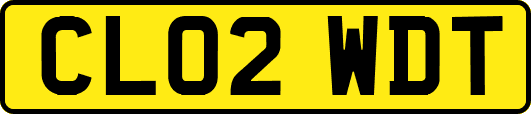 CL02WDT
