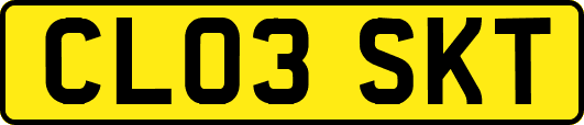 CL03SKT