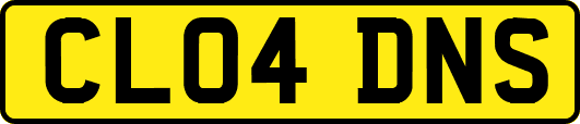 CL04DNS