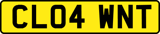 CL04WNT