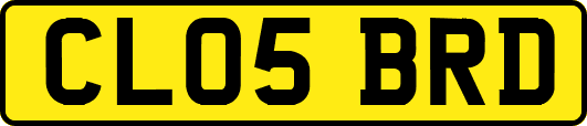 CL05BRD
