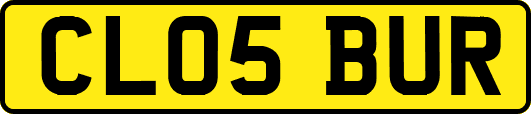 CL05BUR